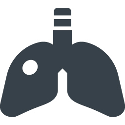 肺のアイコン素材 4 商用可の無料 フリー のアイコン素材をダウンロードできるサイト Icon Rainbow