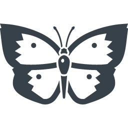 蝶の無料アイコン素材 7 商用可の無料 フリー のアイコン素材をダウンロードできるサイト Icon Rainbow