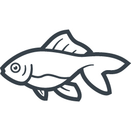 金魚の無料アイコン素材 3 商用可の無料 フリー のアイコン素材をダウンロードできるサイト Icon Rainbow