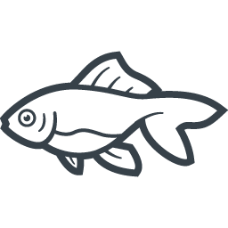 金魚の無料アイコン素材 3 商用可の無料 フリー のアイコン素材をダウンロードできるサイト Icon Rainbow